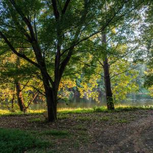 Photo #27 of TBD JONES OVERLOOK, HOWARDSVILLE, VA 125.6 acres