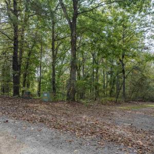 Photo #10 of TBD JONES OVERLOOK, HOWARDSVILLE, VA 125.6 acres