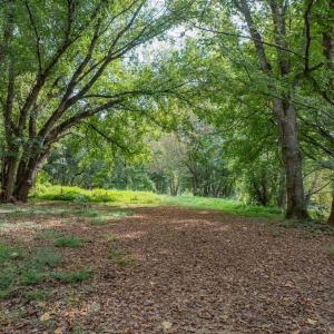 Photo #26 of TBD JONES OVERLOOK, HOWARDSVILLE, VA 125.6 acres