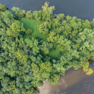 Photo #42 of TBD JONES OVERLOOK, HOWARDSVILLE, VA 125.6 acres