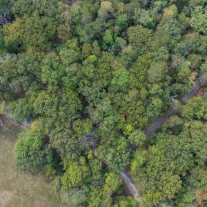 Photo #12 of TBD JONES OVERLOOK, HOWARDSVILLE, VA 125.6 acres