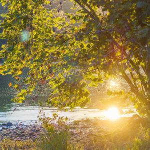 Photo #31 of TBD JONES OVERLOOK, HOWARDSVILLE, VA 125.6 acres