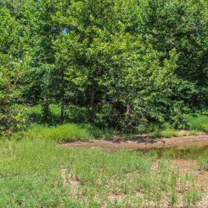 Photo #65 of TBD JONES OVERLOOK, HOWARDSVILLE, VA 125.6 acres