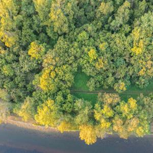 Photo #25 of TBD JONES OVERLOOK, HOWARDSVILLE, VA 125.6 acres