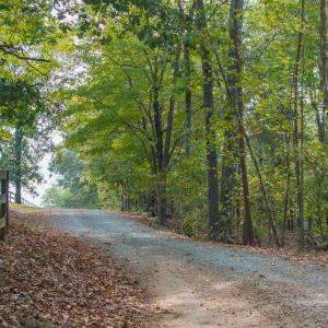 Photo #9 of TBD JONES OVERLOOK, HOWARDSVILLE, VA 125.6 acres
