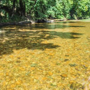 Photo #55 of TBD JONES OVERLOOK, HOWARDSVILLE, VA 125.6 acres