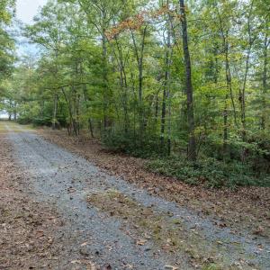 Photo #11 of TBD JONES OVERLOOK, HOWARDSVILLE, VA 125.6 acres