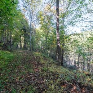 Photo #28 of 13630 CRABTREE FALLS HWY, TYRO, VA 22.8 acres