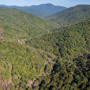 Photo #15 of 13630 CRABTREE FALLS HWY, TYRO, VA 22.8 acres