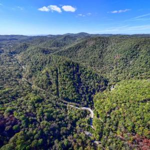 Photo #18 of 13630 CRABTREE FALLS HWY, TYRO, VA 22.8 acres
