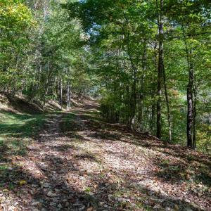 Photo #32 of 13630 CRABTREE FALLS HWY, TYRO, VA 22.8 acres