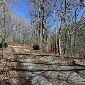 Photo #40 of 13630 CRABTREE FALLS HWY, TYRO, VA 22.8 acres