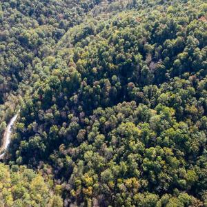 Photo #13 of 13630 CRABTREE FALLS HWY, TYRO, VA 22.8 acres