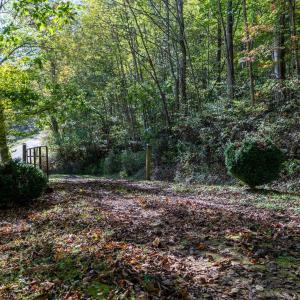 Photo #33 of 13630 CRABTREE FALLS HWY, TYRO, VA 22.8 acres