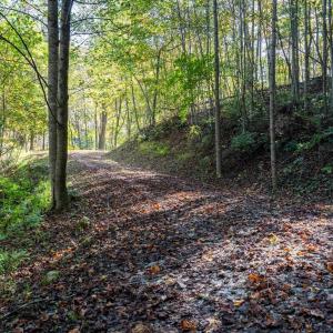 Photo #31 of 13630 CRABTREE FALLS HWY, TYRO, VA 22.8 acres