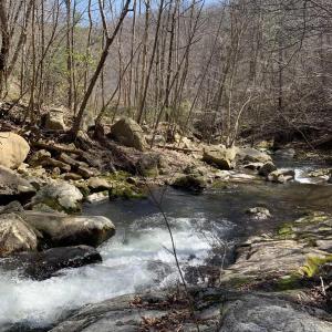 Photo #4 of 13630 CRABTREE FALLS HWY, TYRO, VA 22.8 acres