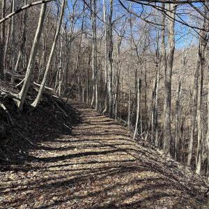 Photo #39 of 13630 CRABTREE FALLS HWY, TYRO, VA 22.8 acres
