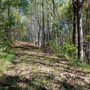 Photo #20 of 13630 CRABTREE FALLS HWY, TYRO, VA 22.8 acres