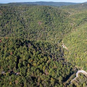 Photo #11 of 13630 CRABTREE FALLS HWY, TYRO, VA 22.8 acres