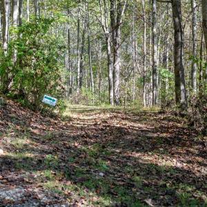 Photo #29 of 13630 CRABTREE FALLS HWY, TYRO, VA 22.8 acres