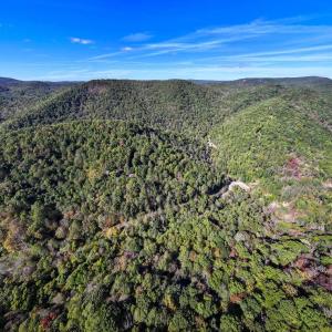 Photo #17 of 13630 CRABTREE FALLS HWY, TYRO, VA 22.8 acres