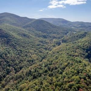 Photo #16 of 13630 CRABTREE FALLS HWY, TYRO, VA 22.8 acres