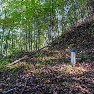 Photo #10 of 13630 CRABTREE FALLS HWY, TYRO, VA 22.8 acres