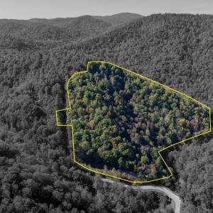Photo #37 of 13630 CRABTREE FALLS HWY, TYRO, VA 22.8 acres