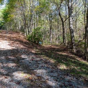 Photo #30 of 13630 CRABTREE FALLS HWY, TYRO, VA 22.8 acres