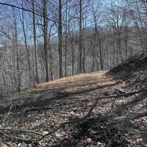Photo #41 of 13630 CRABTREE FALLS HWY, TYRO, VA 22.8 acres