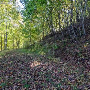 Photo #27 of 13630 CRABTREE FALLS HWY, TYRO, VA 22.8 acres