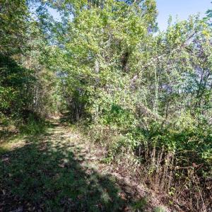Photo #21 of 13630 CRABTREE FALLS HWY, TYRO, VA 22.8 acres