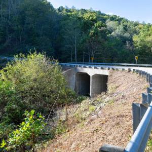 Photo #36 of 13630 CRABTREE FALLS HWY, TYRO, VA 22.8 acres