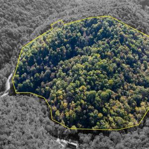 Photo #38 of 13630 CRABTREE FALLS HWY, TYRO, VA 22.8 acres