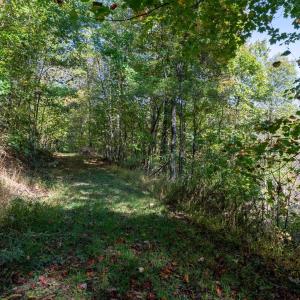 Photo #23 of 13630 CRABTREE FALLS HWY, TYRO, VA 22.8 acres