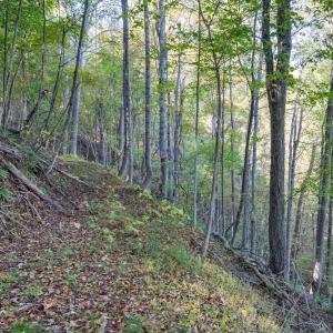 Photo #24 of 13630 CRABTREE FALLS HWY, TYRO, VA 22.8 acres