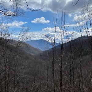 Photo #8 of 13630 CRABTREE FALLS HWY, TYRO, VA 22.8 acres
