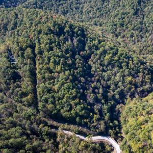 Photo #2 of 13630 CRABTREE FALLS HWY, TYRO, VA 22.8 acres