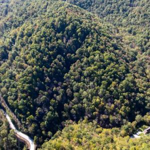 Photo #12 of 13630 CRABTREE FALLS HWY, TYRO, VA 22.8 acres