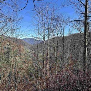 Photo #7 of 13630 CRABTREE FALLS HWY, TYRO, VA 22.8 acres