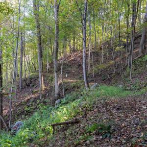 Photo #26 of 13630 CRABTREE FALLS HWY, TYRO, VA 22.8 acres