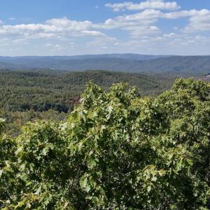 Photo #3 of tbd CADDIS LN, WARM SPRINGS, VA 2.6 acres