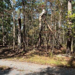 Photo #2 of tbd GERTIES LN, STUARTS DRAFT, VA 10.3 acres