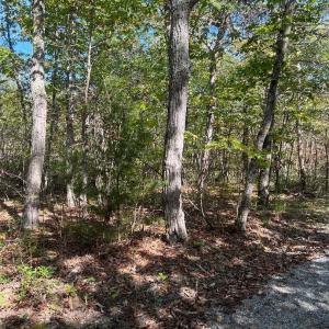 Photo #4 of tbd GERTIES LN, STUARTS DRAFT, VA 10.3 acres