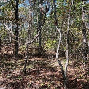 Photo #1 of tbd GERTIES LN, STUARTS DRAFT, VA 10.3 acres