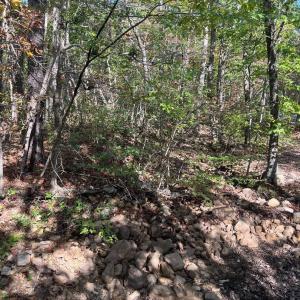 Photo #6 of tbd GERTIES LN, STUARTS DRAFT, VA 10.3 acres