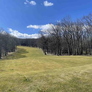 Photo #2 of 1025 BLUE RIDGE DR, WINTERGREEN RESORT, VA 0.5 acres