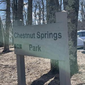 Photo #5 of 1025 BLUE RIDGE DR, WINTERGREEN RESORT, VA 0.5 acres