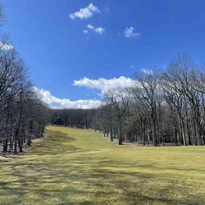 Photo #3 of 1025 BLUE RIDGE DR, WINTERGREEN RESORT, VA 0.5 acres