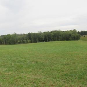 Photo #2 of TBD TRANSCO RD, SCOTTSVILLE, VA 96.5 acres